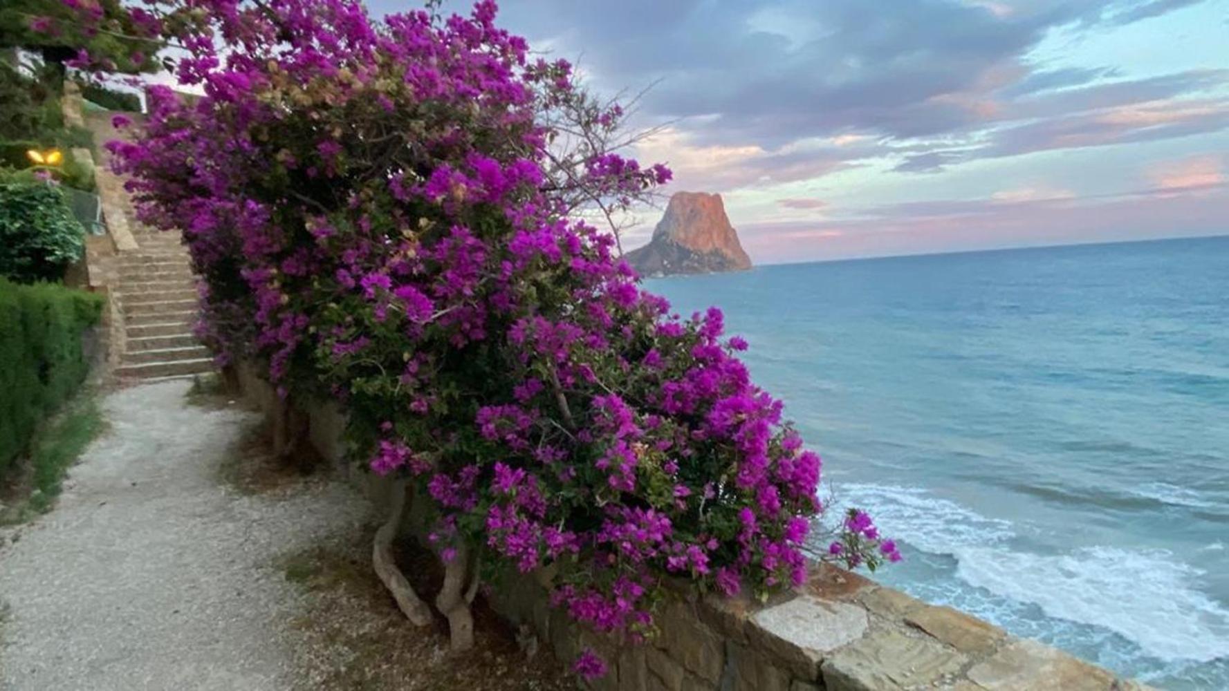 Timora Sea View New Apart' Hipocampos Calpe Exteriér fotografie